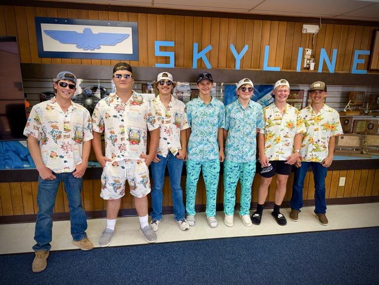 Vball