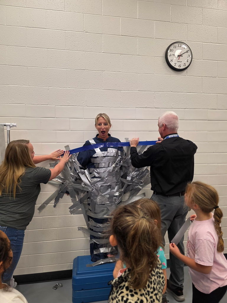 Tape Ms. Seacat to the wall!