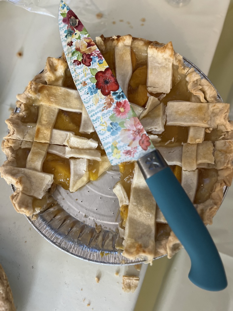 PI day 7