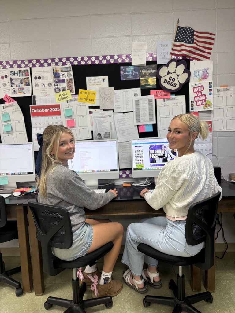 Lexi and Lucy digital media art grant pic 1