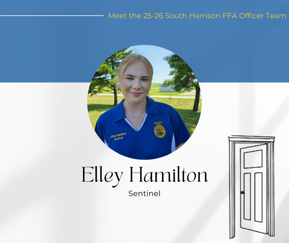 Elley Hamilton - Sentinel