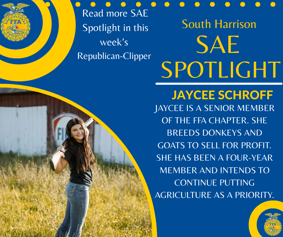 SAE Spotlight - 2026