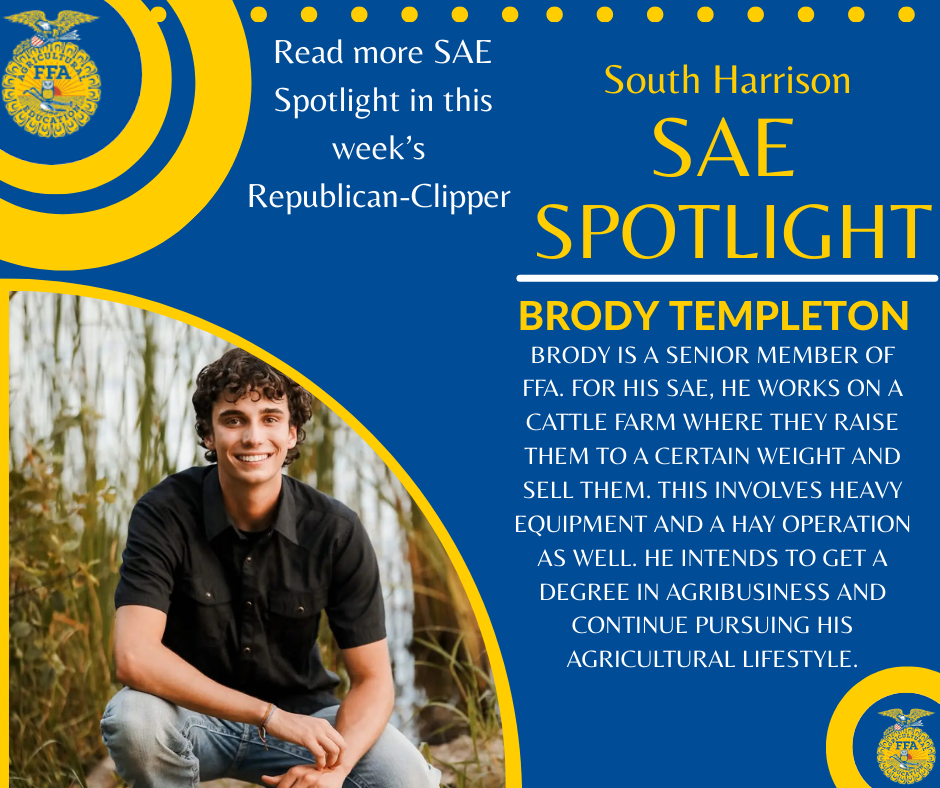 SAE Spotlight - 2026