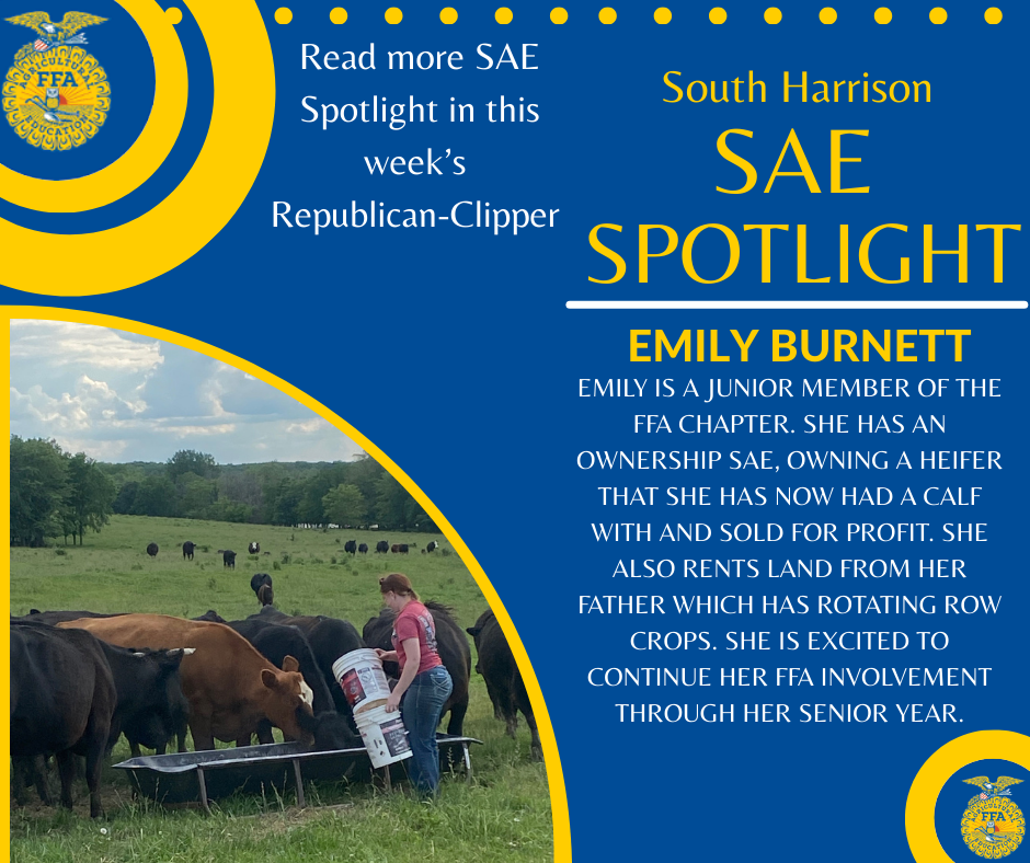SAE Spotlight - 2026