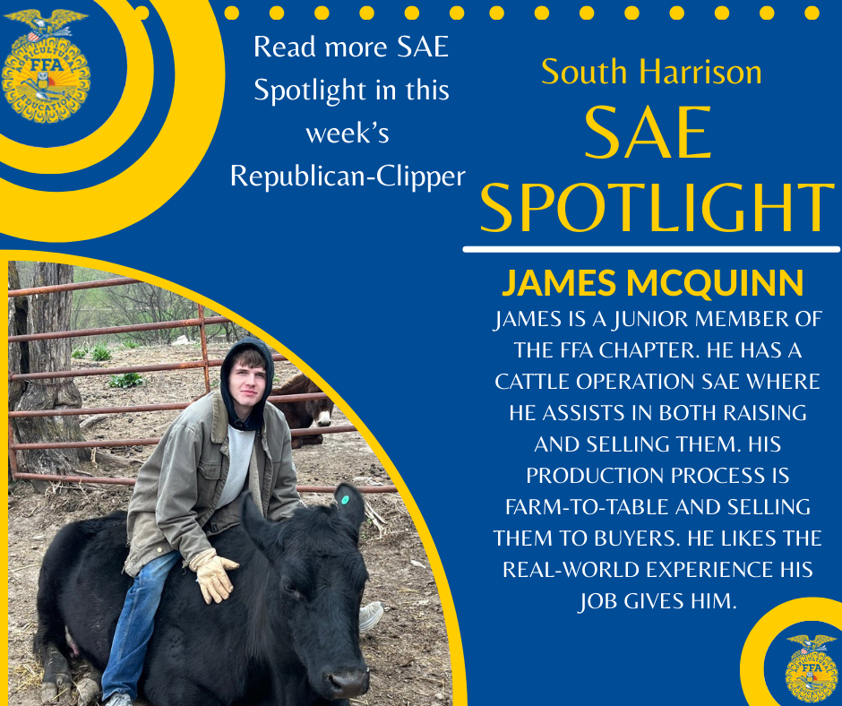 SAE Spotlight - 2026