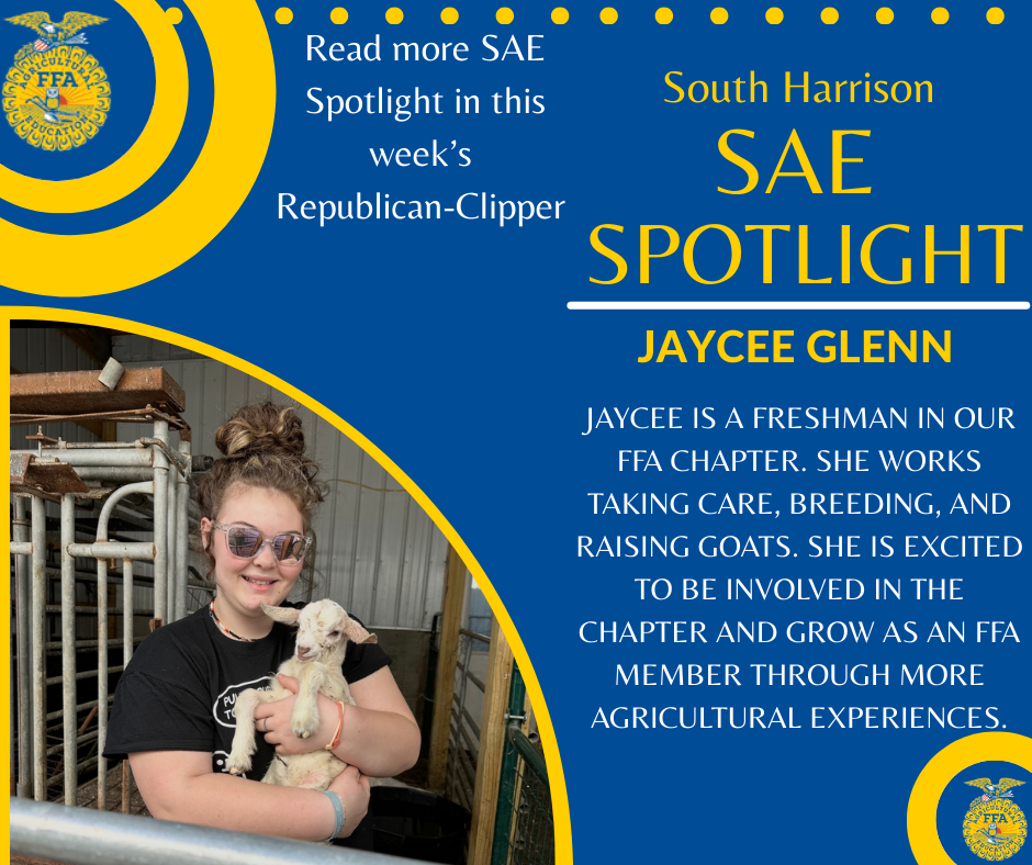 SAE Spotlight - 2026