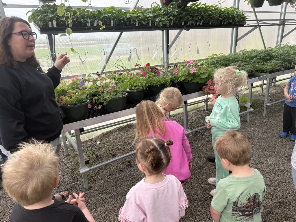 Greenhouse flowers