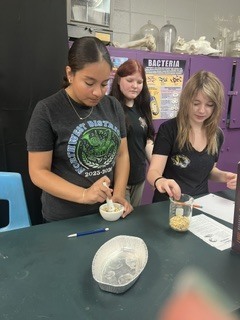 Chemistry students make various solutions in discovery lab