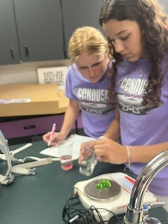 Students working on lab in class