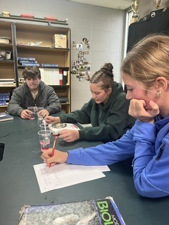 Students working on lab in class