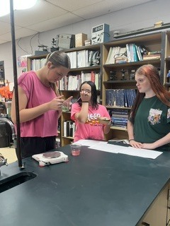Students working on lab in class