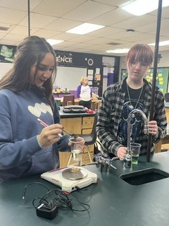Students working on lab in class