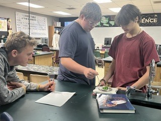 Students working on lab in class