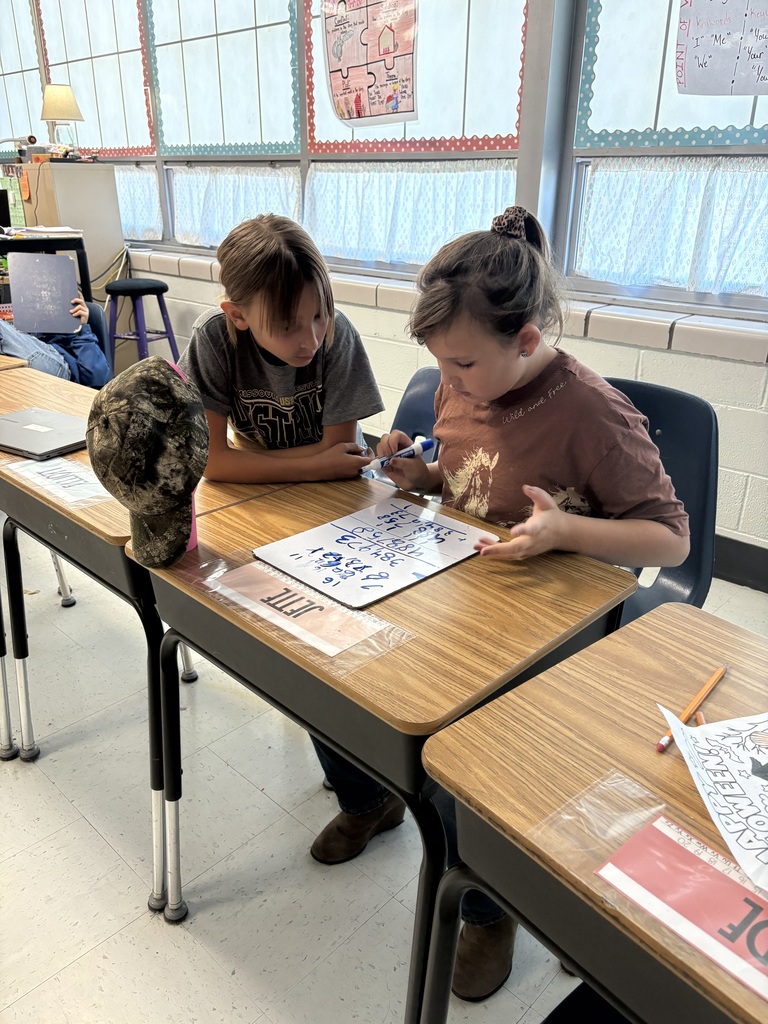 Two students working on an assignment together