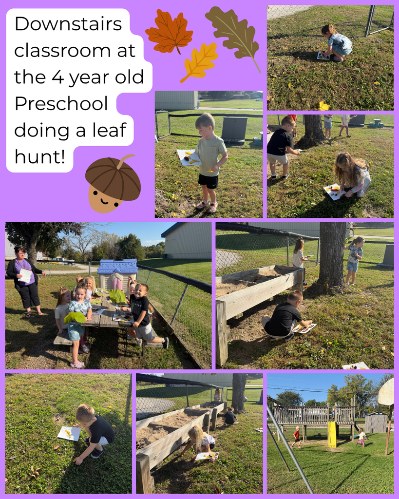 leaf hunt