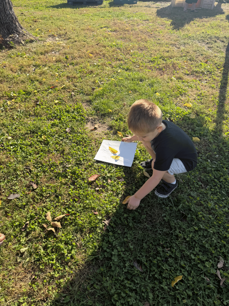 boy leaf hunting