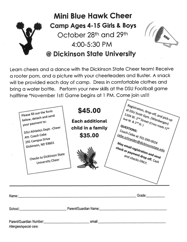 Mini Blue Hawk Cheer Camp Flyer