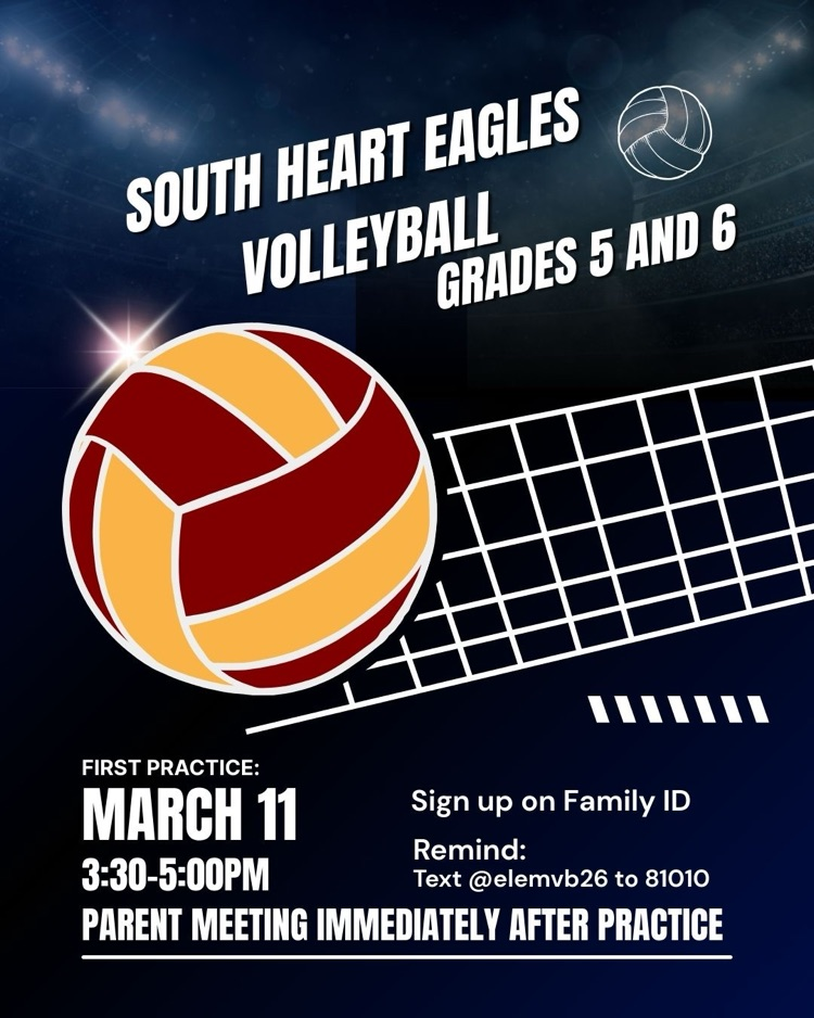 Vball flier