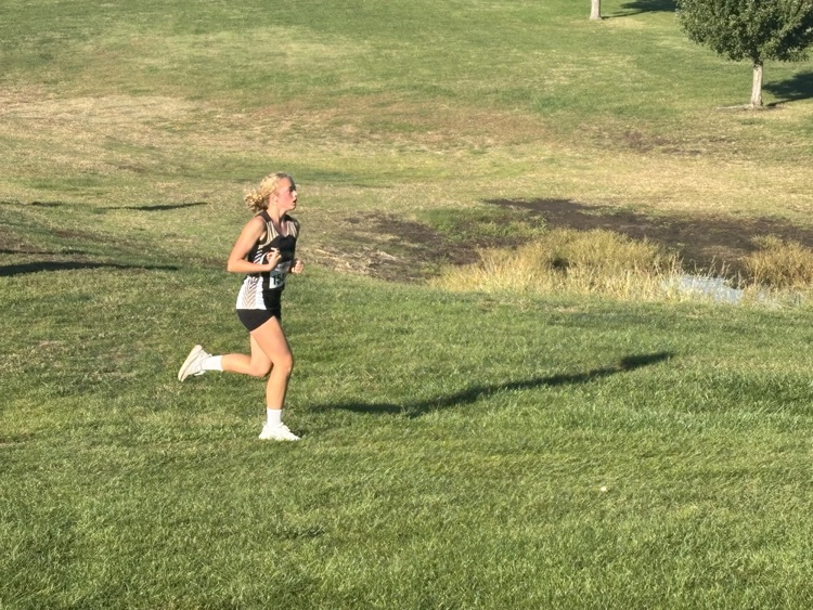 XC
