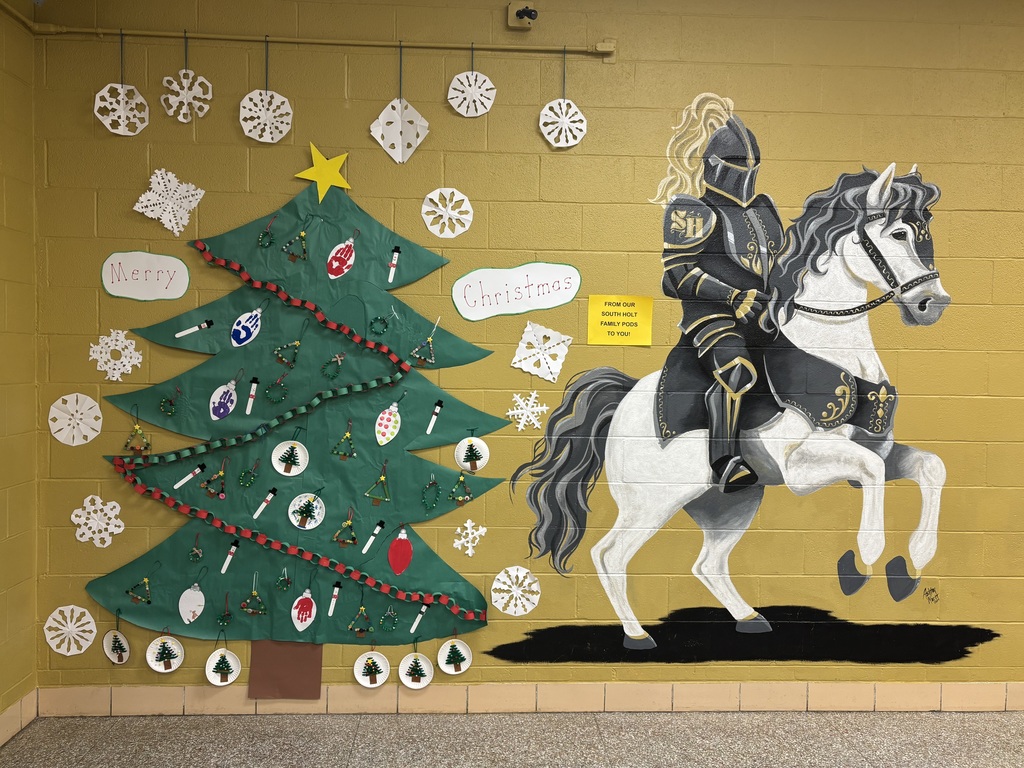 Christmas Tree decorated #2