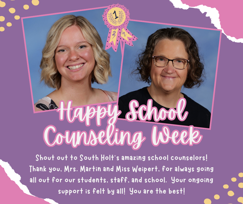 School Counselors