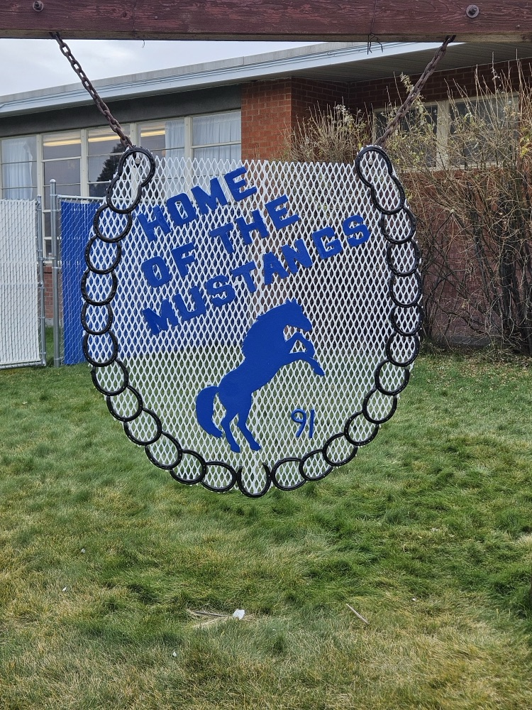 mustangs