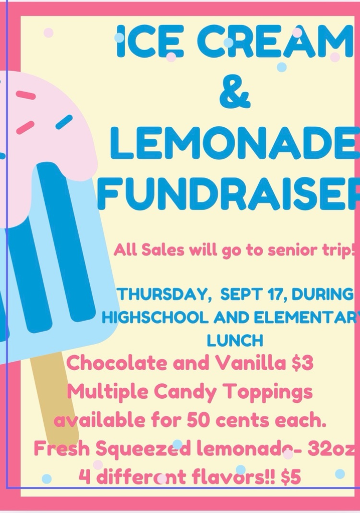 freshmen fundraiser flyer