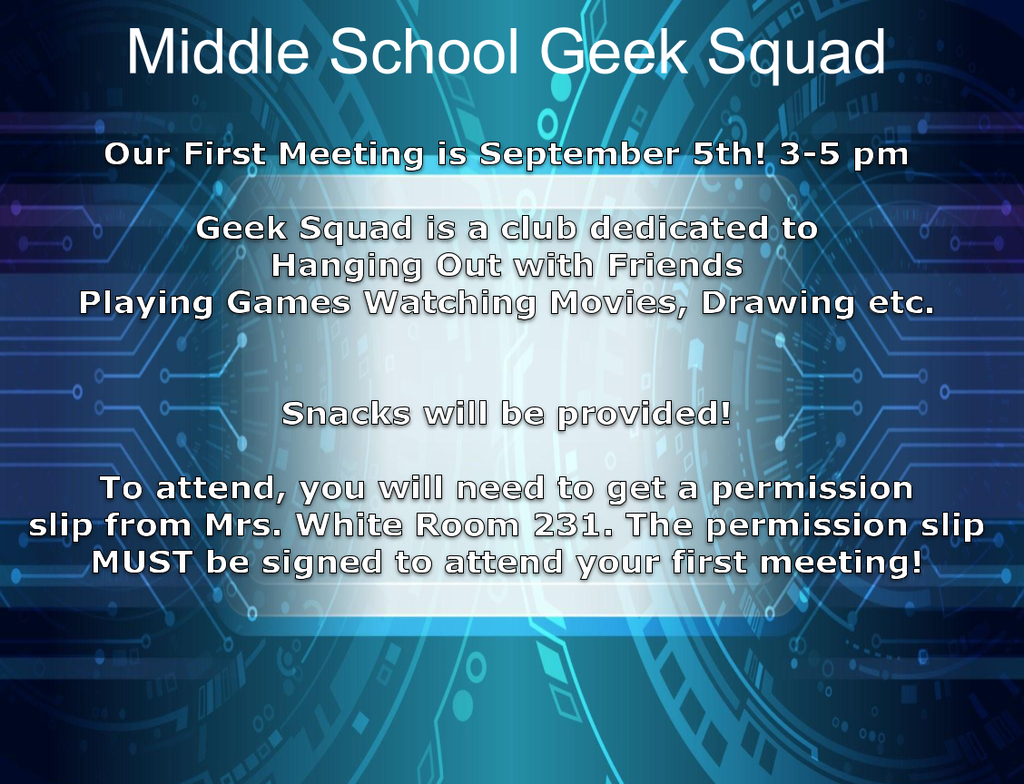 Geek Squad