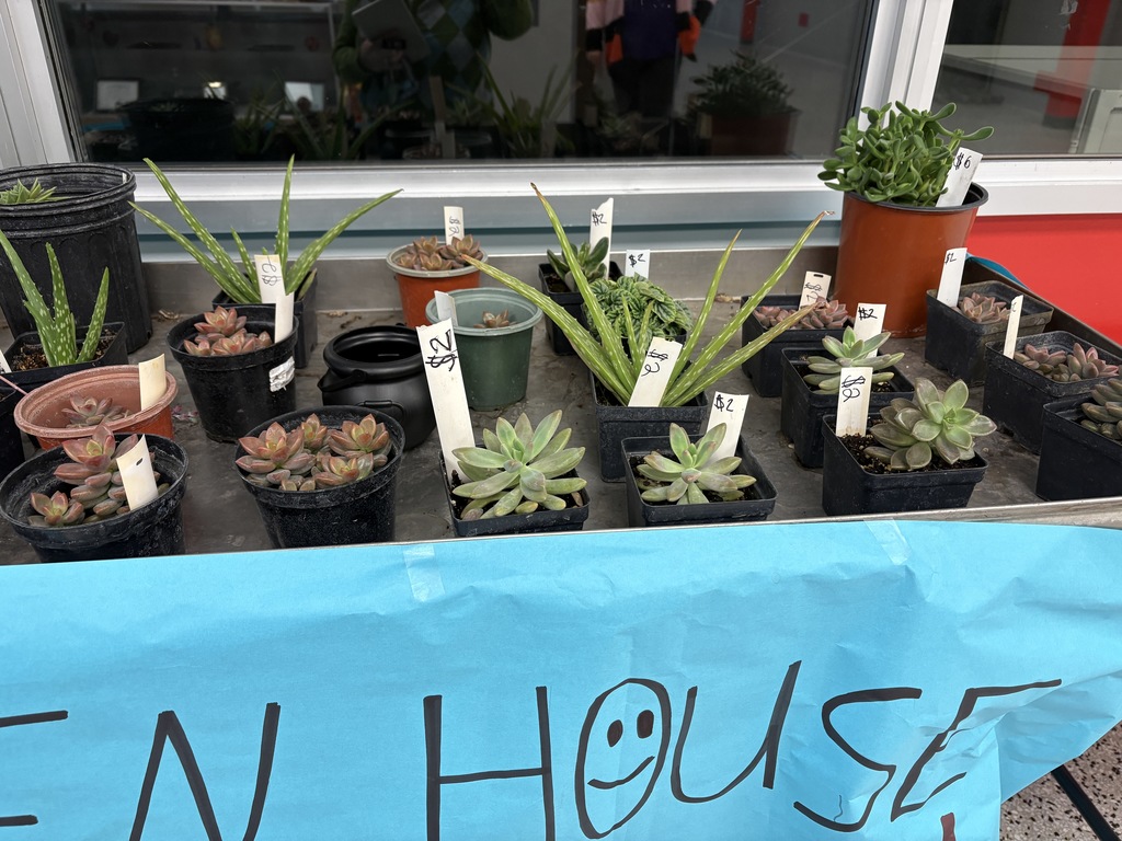 plants