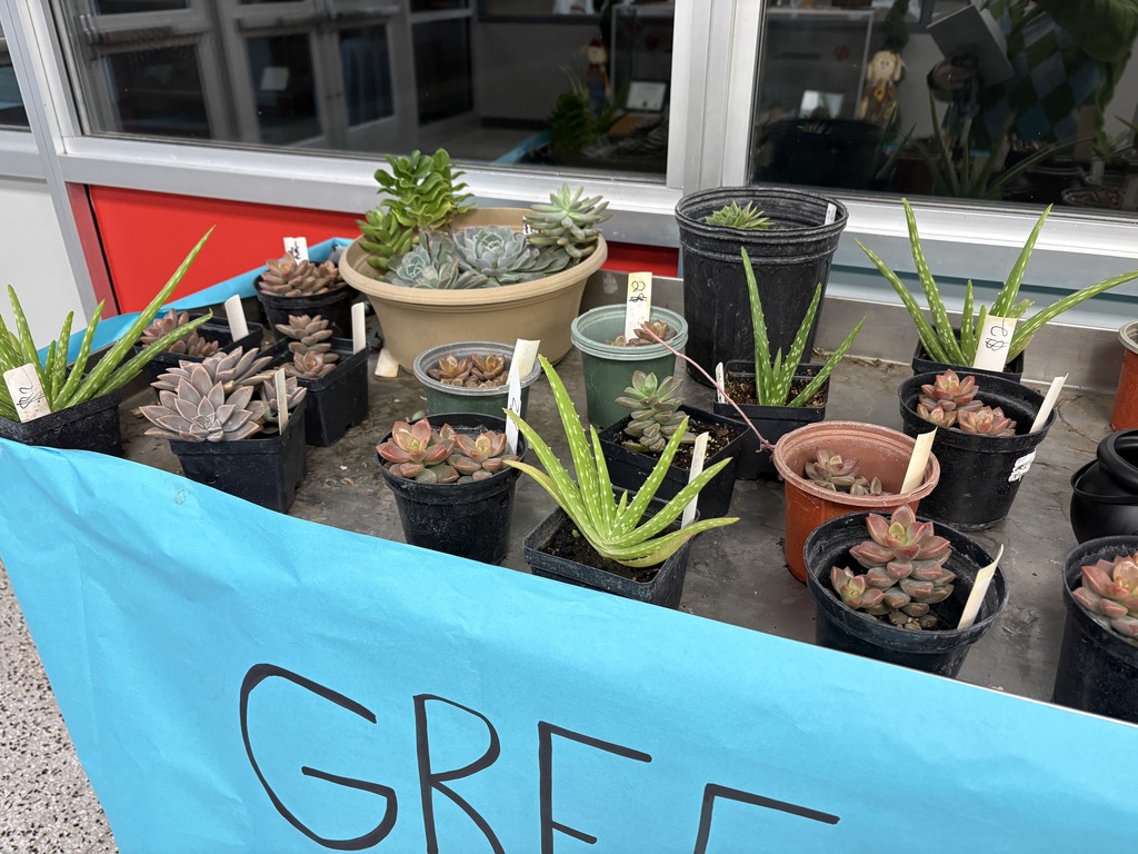 plants