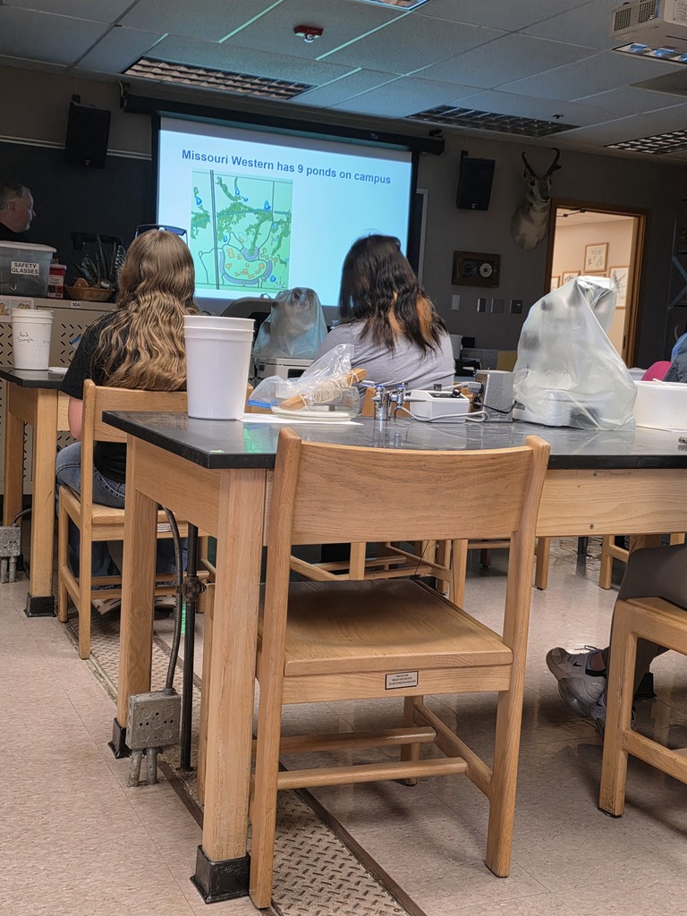 Instructions for lab