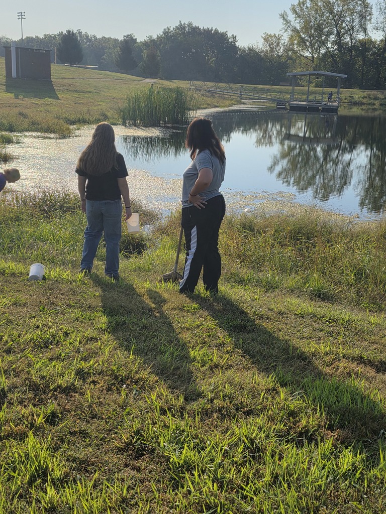Pond ecology 