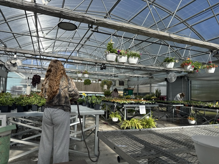 plant sale
