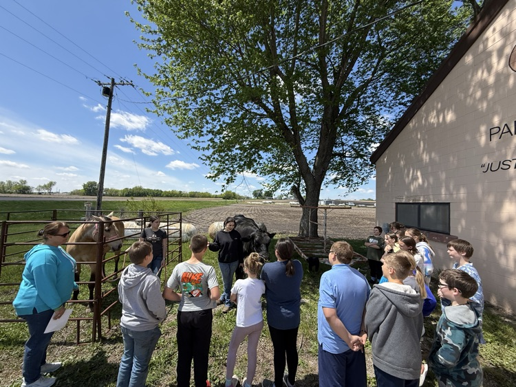 students at animal safety station
