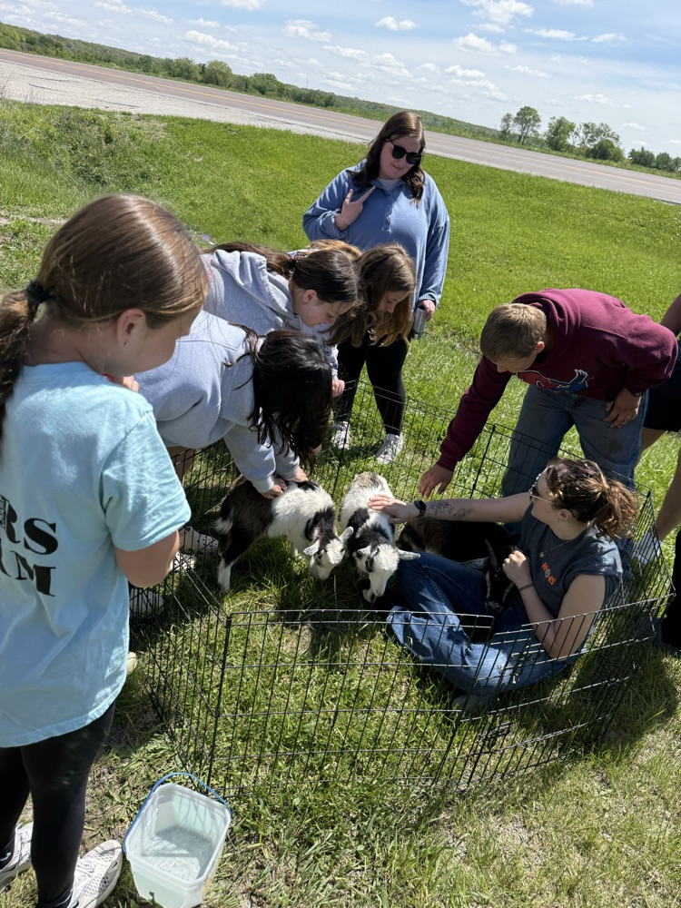 students petting goats