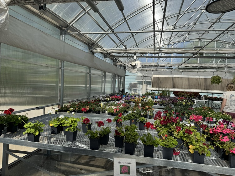 plant sales