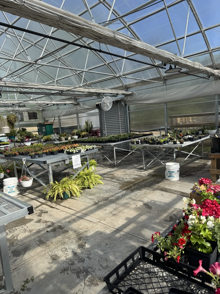 plant sales