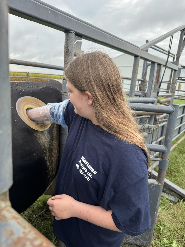ag day