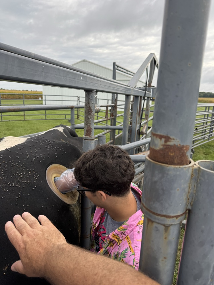 ag day