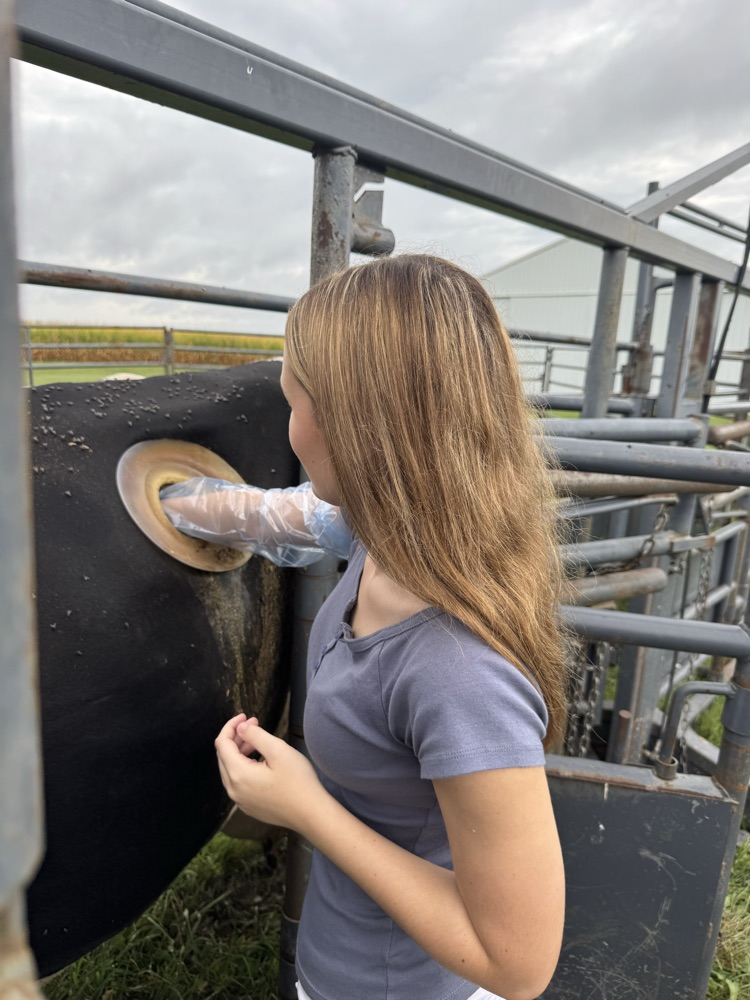 ag day