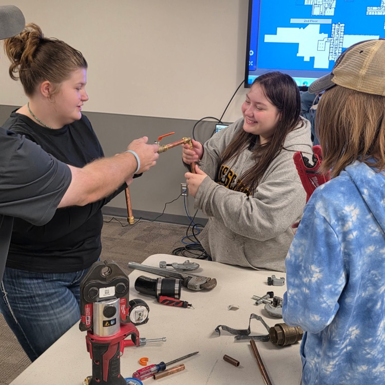 students practicing hands on skills