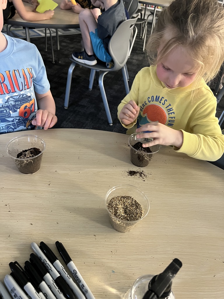 Kindergarten Library