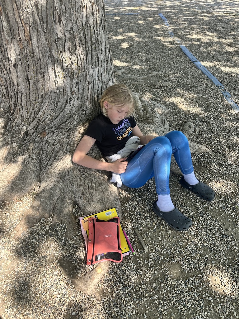 Outdoor Reading