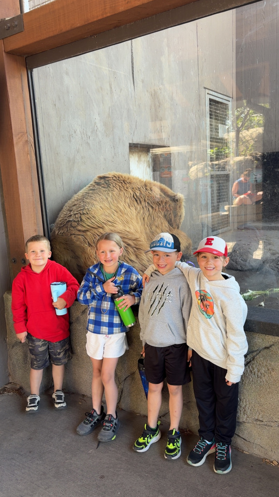 Kindergarten Zoo
