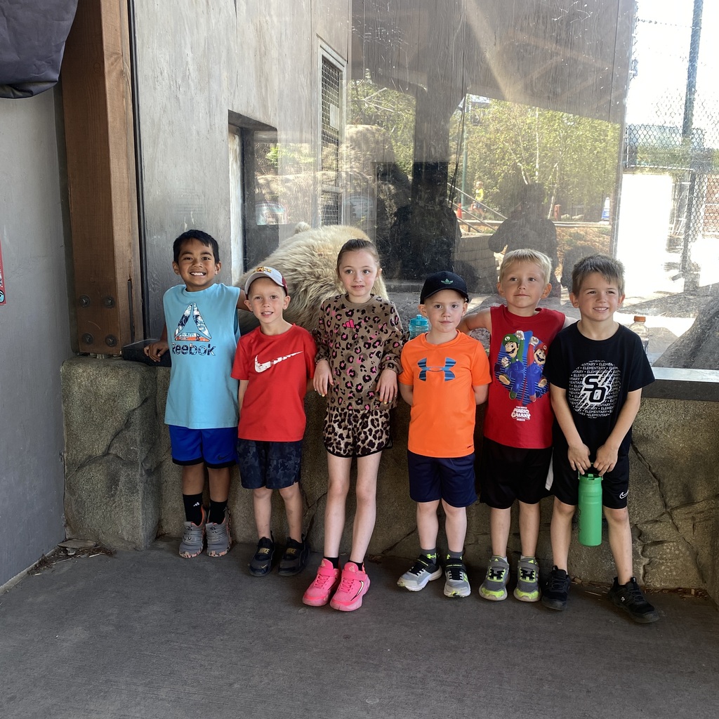 Kindergarten Zoo