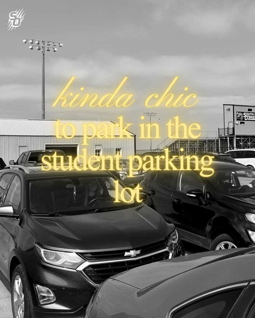Kinda chic parking