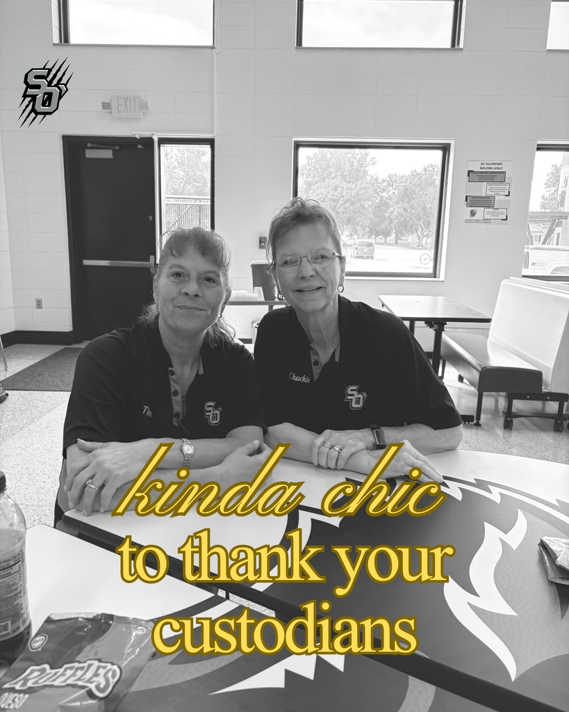 Kinda chic custodians