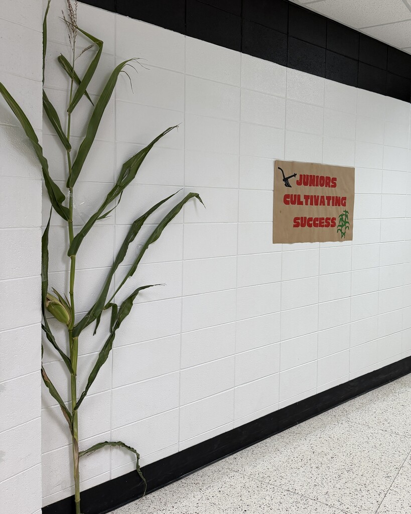 Hoco halls