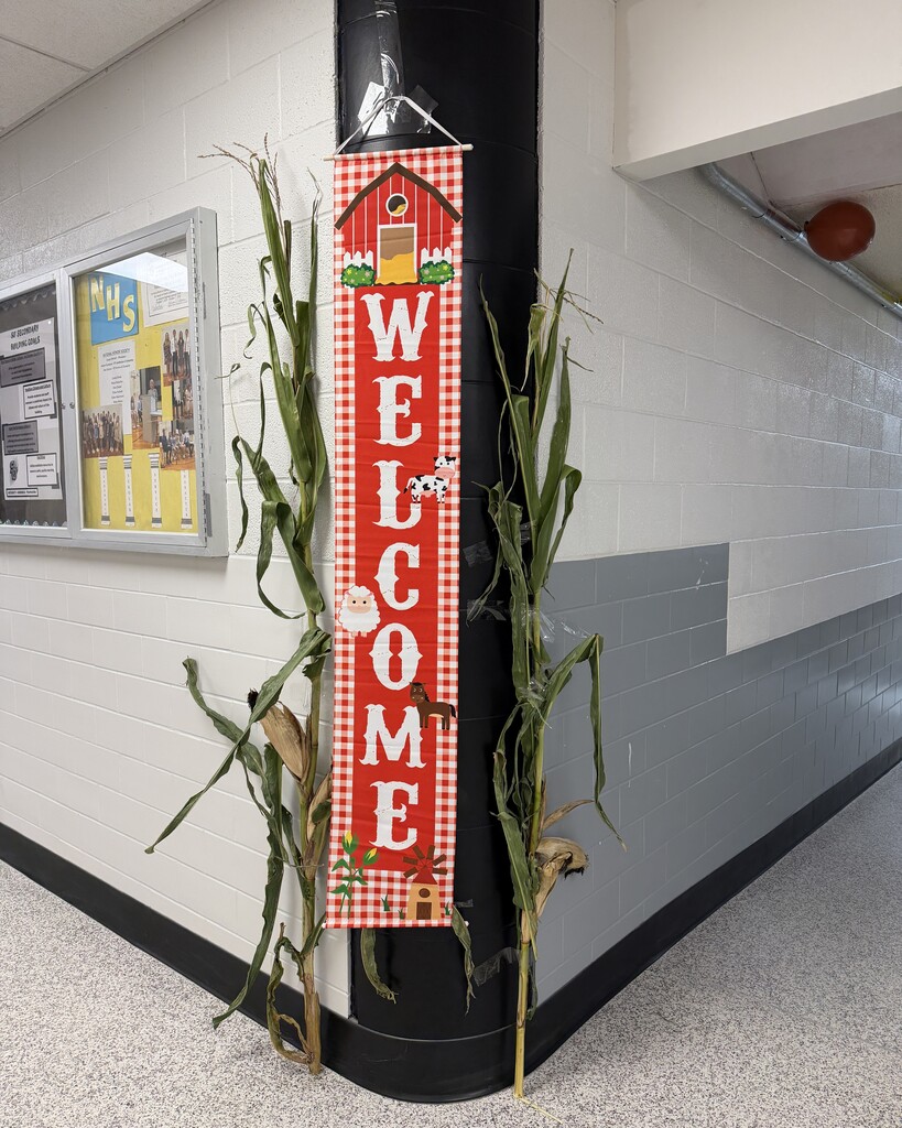 Hoco halls