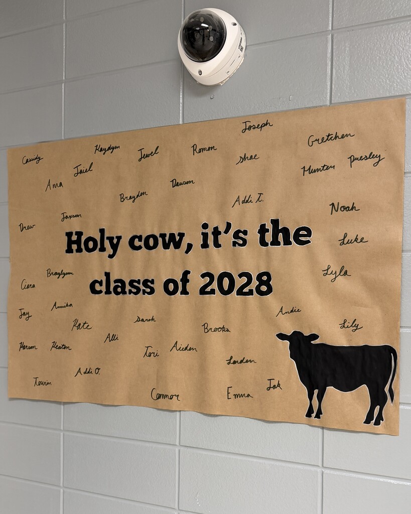Hoco halls